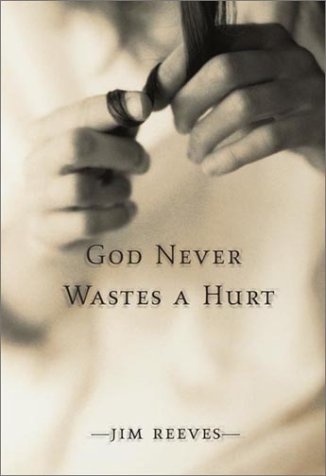 Book cover for God Never Wastes a Hurt