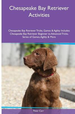 Book cover for Chesapeake Bay Retriever Activities Chesapeake Bay Retriever Tricks, Games & Agility. Includes