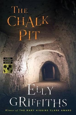 Book cover for The Chalk Pit, 9