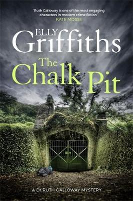 Book cover for The Chalk Pit