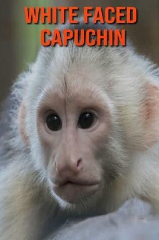 Cover of White Faced Capuchin