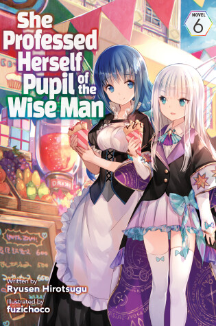 Cover of She Professed Herself Pupil of the Wise Man (Light Novel) Vol. 6