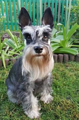 Book cover for Seriously Adorable Schnauzer Dog in the Garden Journal