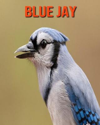 Book cover for Blue Jay