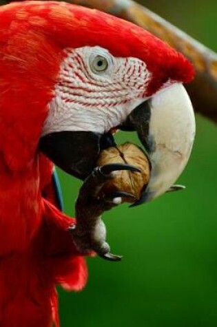 Cover of Scarlet Macaw Eating a Walnut Journal