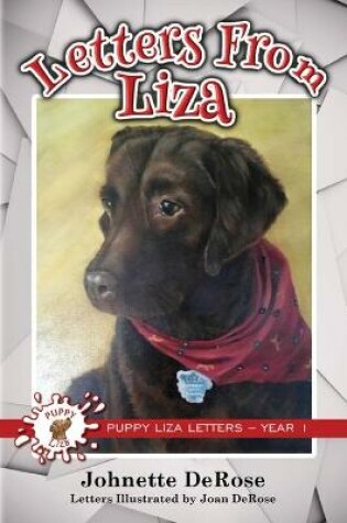 Cover of Letters From Liza