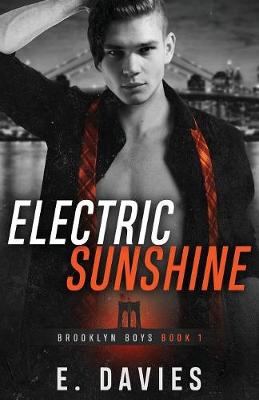 Book cover for Electric Sunshine