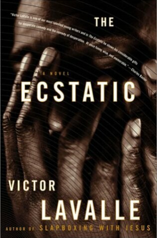 Cover of The Ecstatic