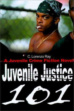 Book cover for Juvenile Justice 101