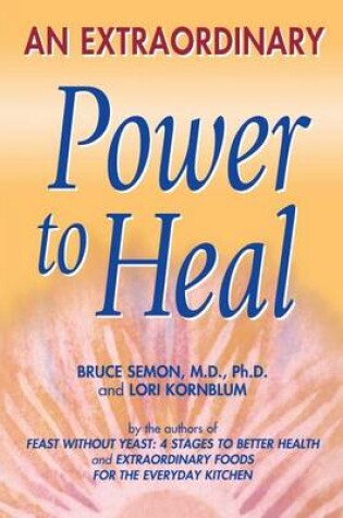 Cover of An Extraordinary Power to Heal
