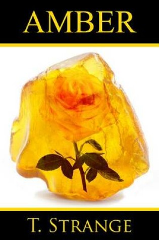 Cover of Amber