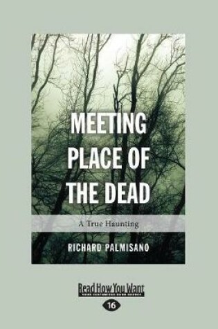 Cover of Meeting Place of the Dead