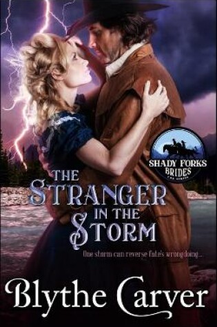 Cover of The Stranger in the Storm