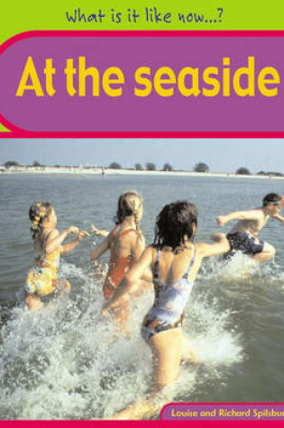 Cover of What Is It Like Now? At The Seaside Paperback