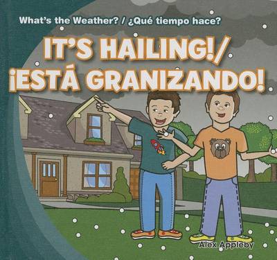 Book cover for It's Hailing! / ¡Está Granizando!