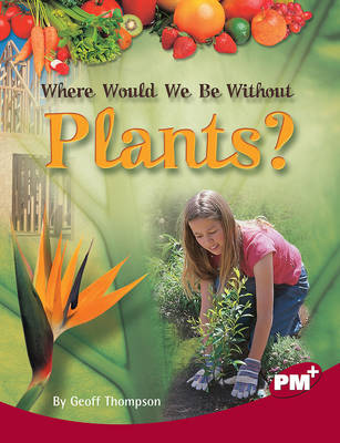 Book cover for Where Would We Be Without Plants?