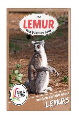 Book cover for The Lemur Fact and Picture Book