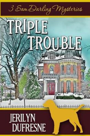 Cover of Triple Trouble