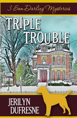 Book cover for Triple Trouble