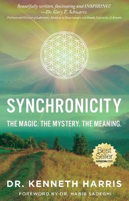 Book cover for Synchronicity