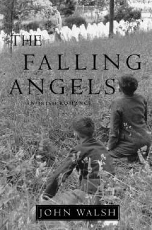 Cover of The Falling Angels
