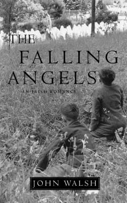 Book cover for The Falling Angels