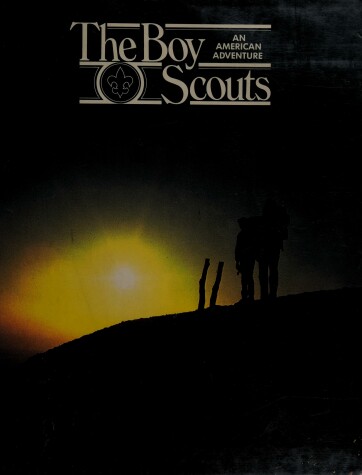 Book cover for Boy Scouts