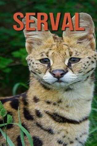 Cover of Serval