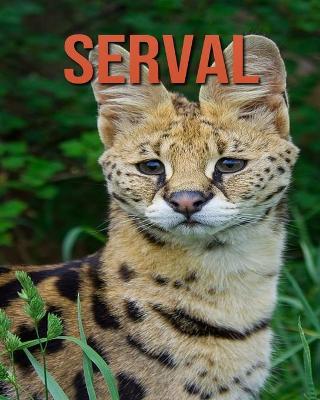 Book cover for Serval