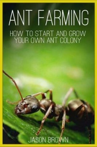 Cover of Ant Farming