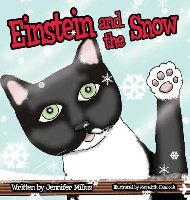 Cover of Einstein and the Snow