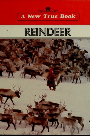 Cover of Reindeer