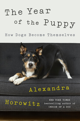 Cover of The Year of the Puppy