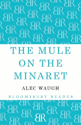 Book cover for The Mule on the Minaret