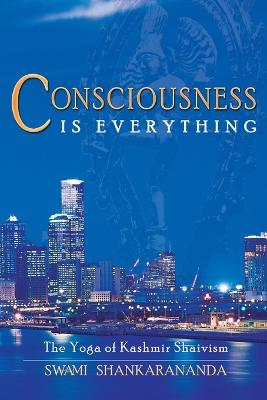 Book cover for Consciousness is Everything