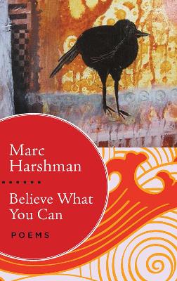 Book cover for Believe What You Can