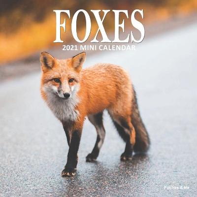 Book cover for Fox