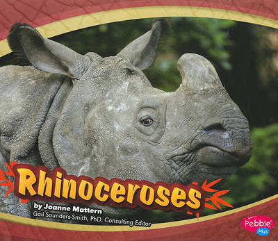 Book cover for Rhinoceroses