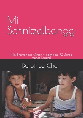 Book cover for Mi Schnitzelbangg