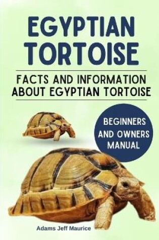 Cover of Egyptian Tortoise