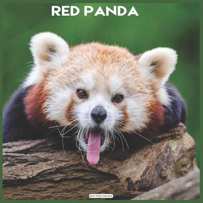 Book cover for Red Panda 2021 Wall Calendar
