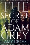 Book cover for The Secret of Adam Grey