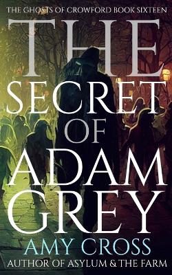 Book cover for The Secret of Adam Grey