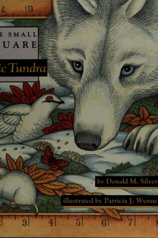 Cover of Arctic Tundra