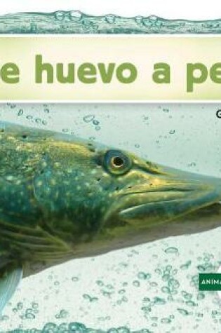 Cover of de Huevo a Pez (Becoming a Fish)