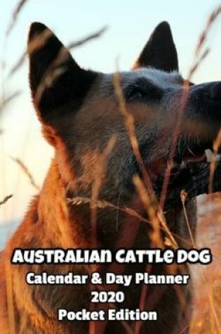 Cover of Australian Cattle Dog Calendar & Day Planner 2020 Pocket Edition