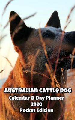 Book cover for Australian Cattle Dog Calendar & Day Planner 2020 Pocket Edition