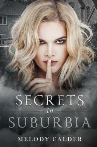 Cover of Secrets in Suburbia