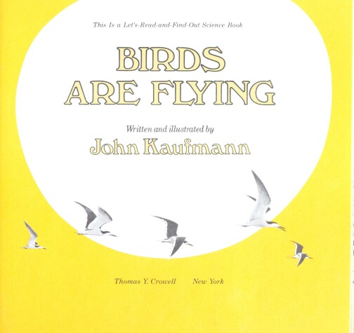 Cover of Birds Are Flying