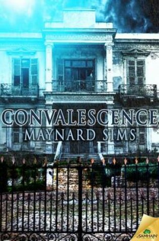 Cover of Convalescence
